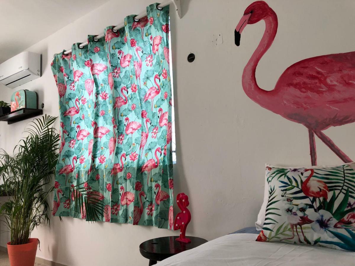 מלון קנקון Casa Tropical מראה חיצוני תמונה