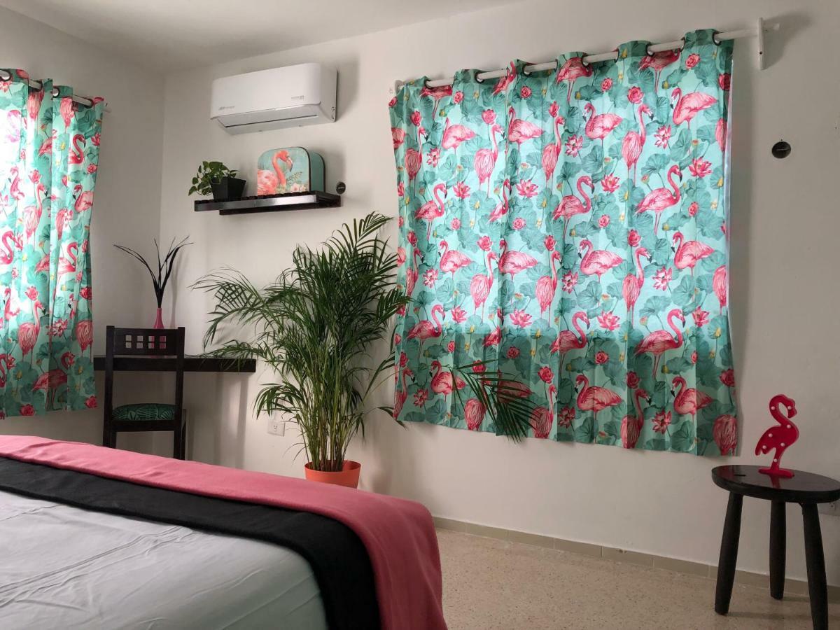 מלון קנקון Casa Tropical מראה חיצוני תמונה