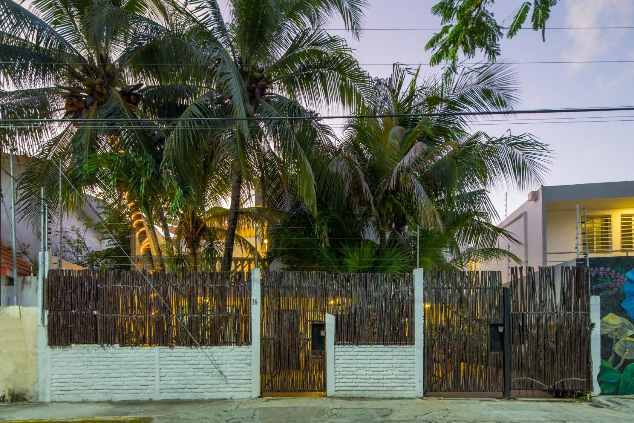 מלון קנקון Casa Tropical מראה חיצוני תמונה